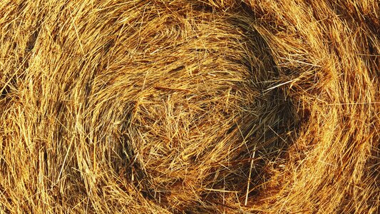 Hay haystack rural photo