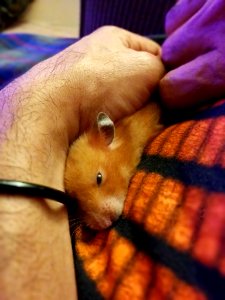 So sleepy!