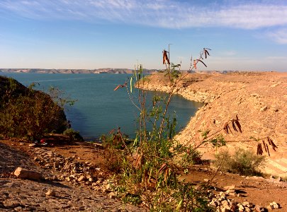 Lake Nasser