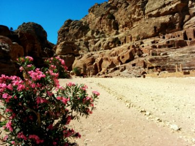 Desert