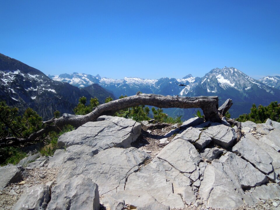 Freedom view outlook