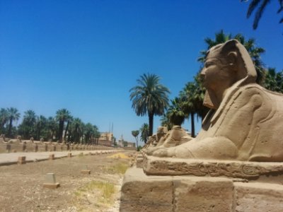 Luxor Temple