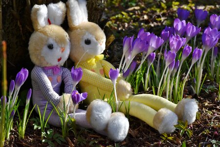 Toys deco spring