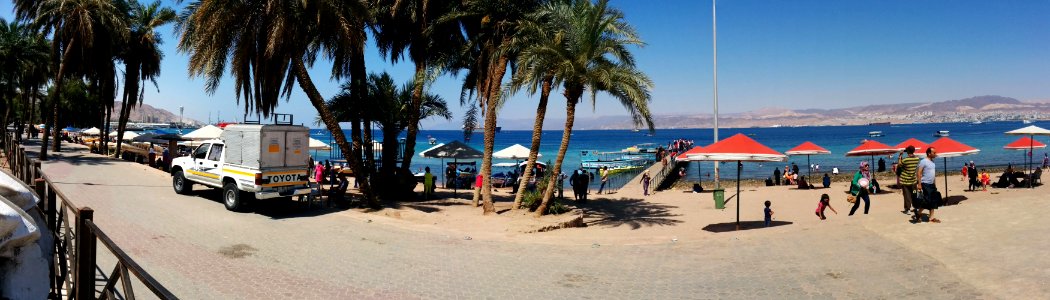 Beach Morning