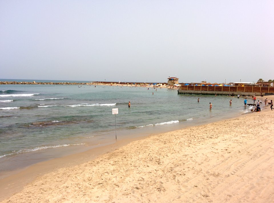 Doggy Beach