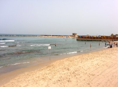 Doggy Beach