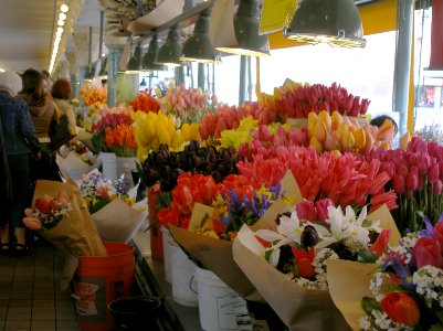 Blooms for Sale photo