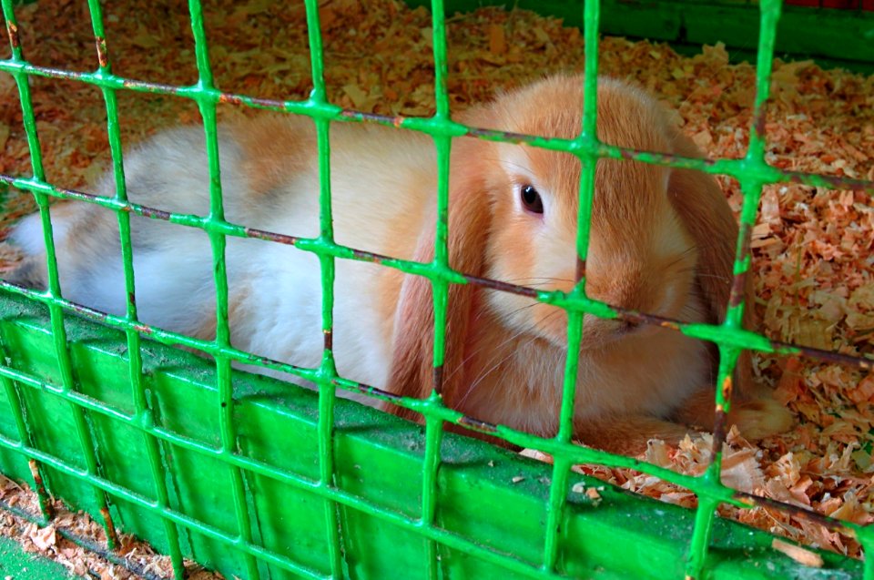 What's up, doc?