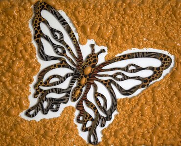 Illustration reproduction butterfly