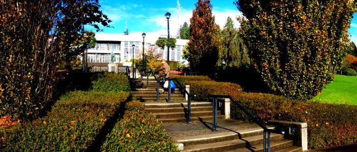 City Hall photo