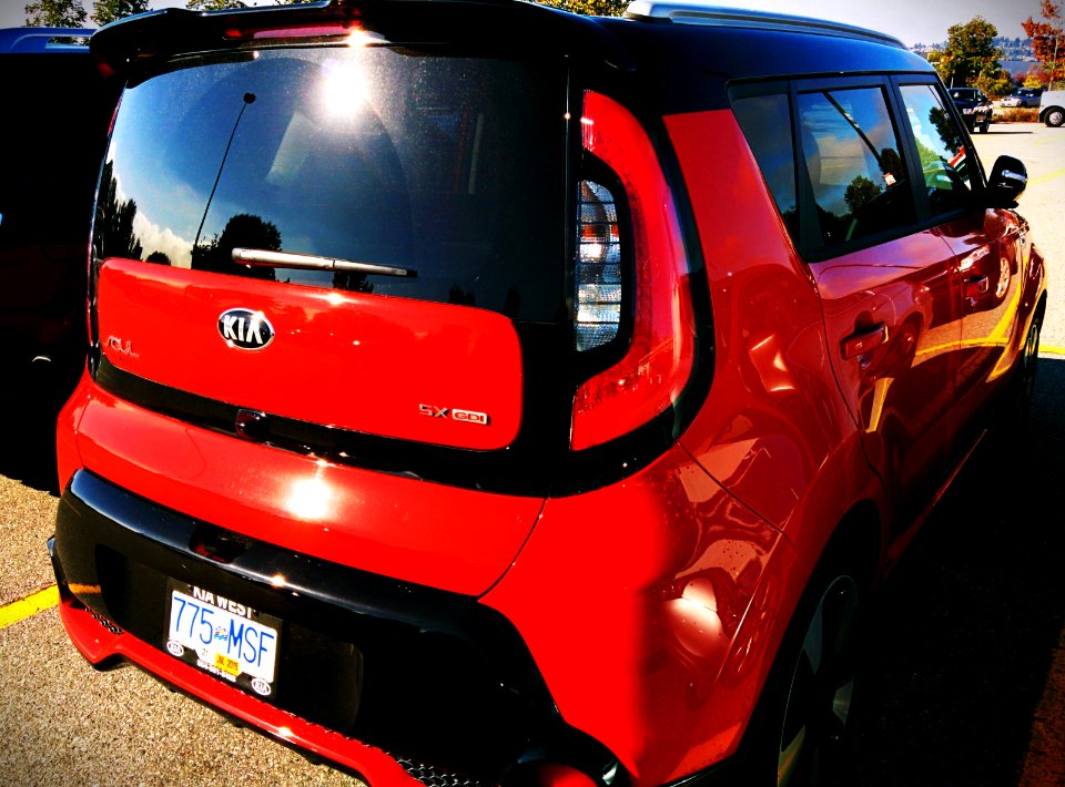 Hamstermobile