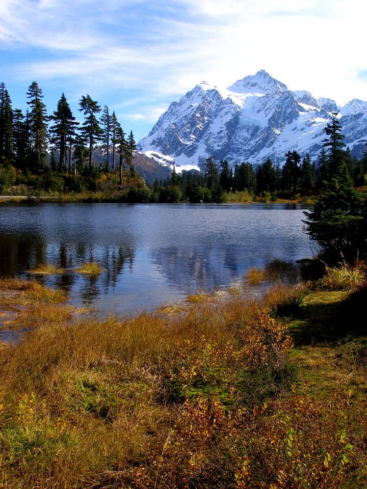 Heather Meadows on Mt. Baker