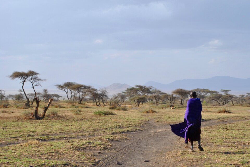 Steppe national park tanzania