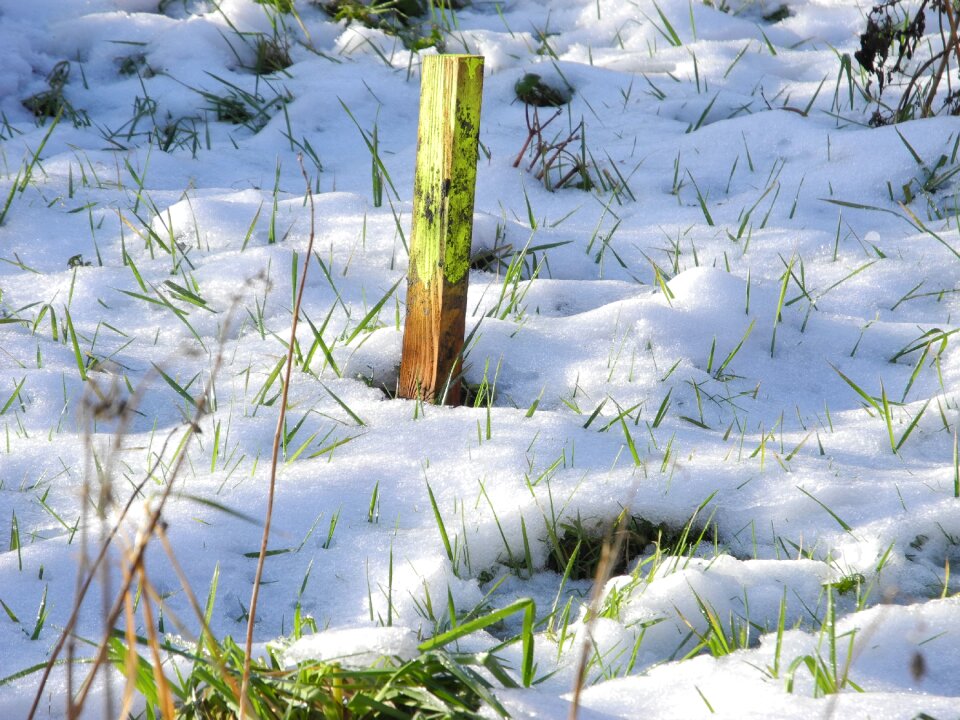 Wintry snow meadow snowy