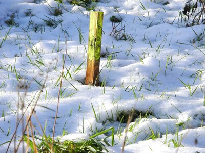 Wintry snow meadow snowy photo