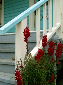 A Porch photo