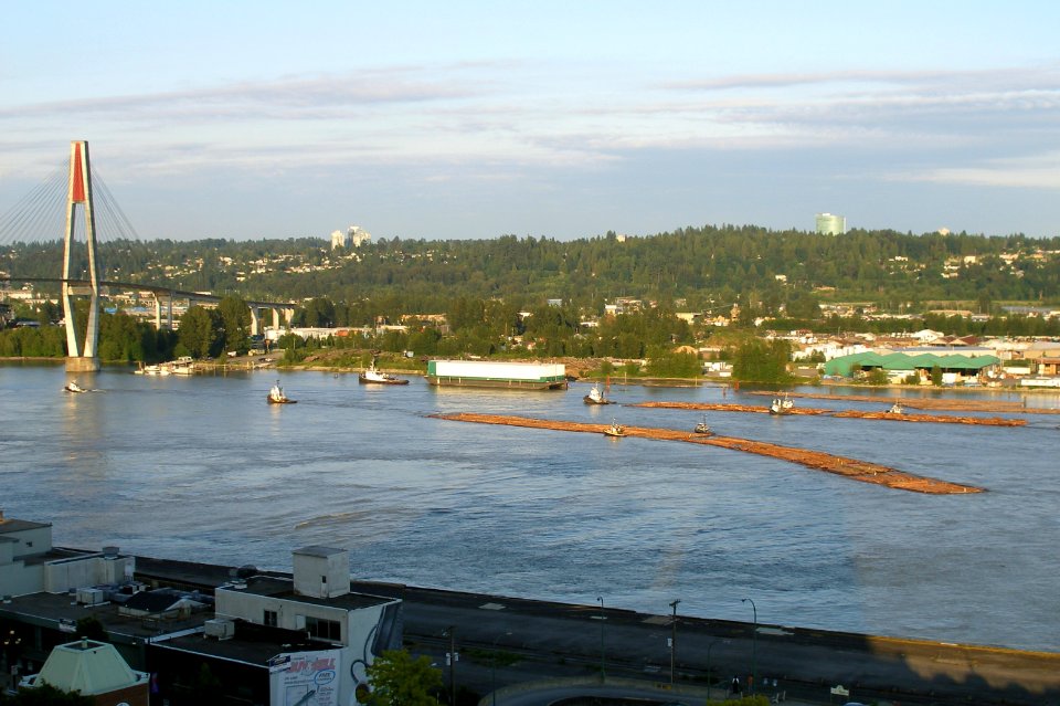 Tugs Pulling Timber