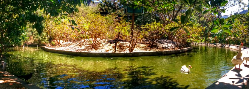 Zoo Day, Mismaloya