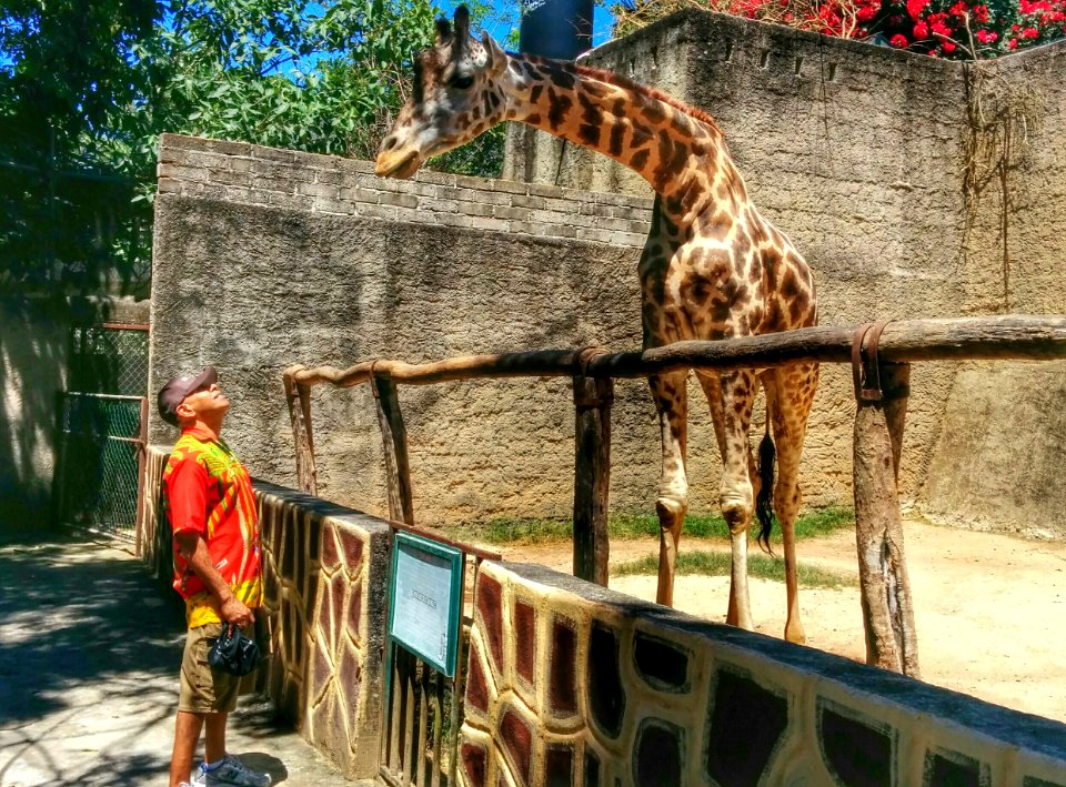 Zoo Day, Mismaloya