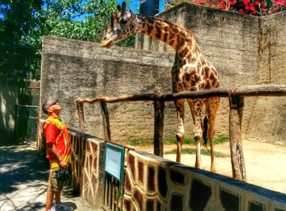 Zoo Day, Mismaloya