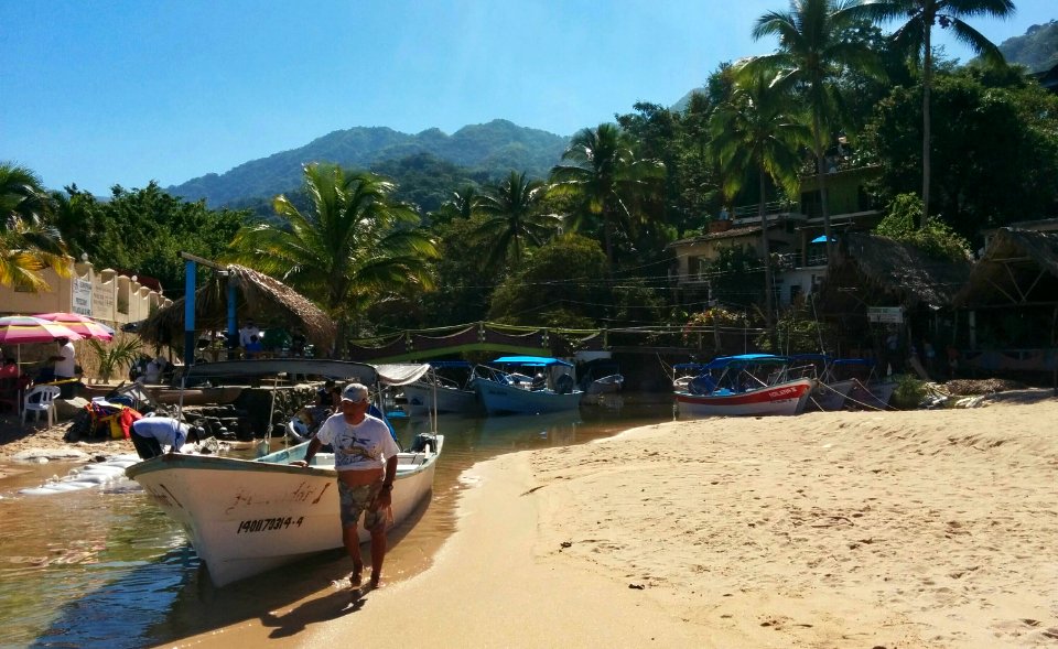 Mismaloya Picnic photo