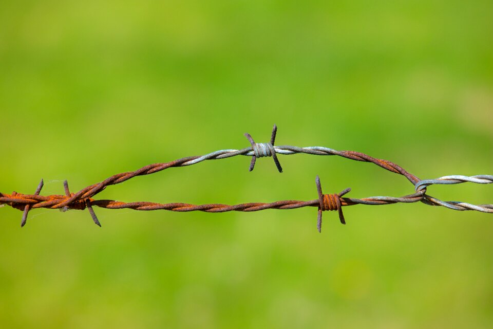 Wire pasture meadow