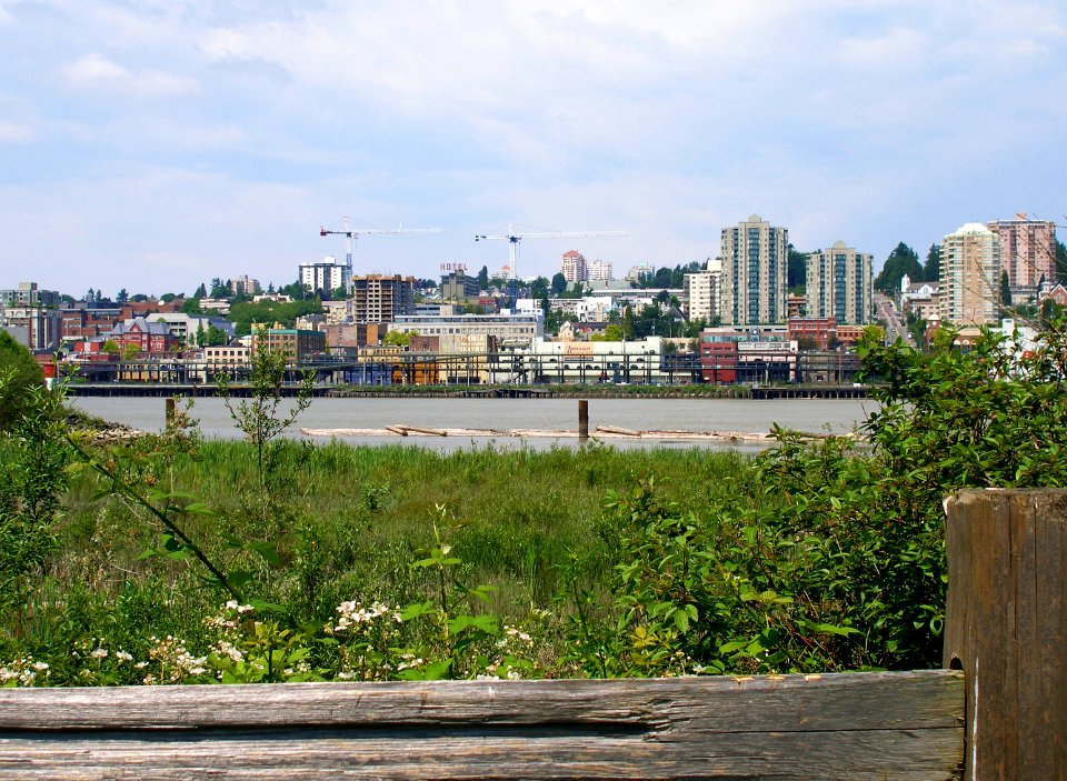 North Bank of the Fraser