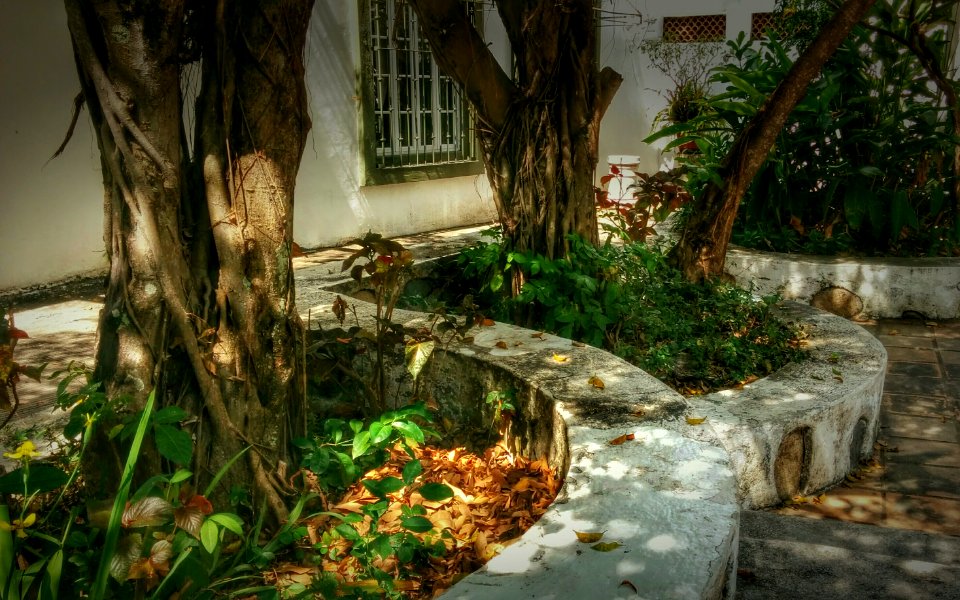 River Cuale Park, Puerto Vallarta