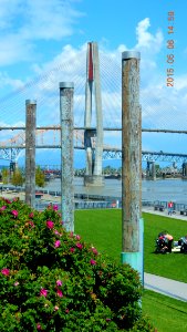 Pier Park - May 6th
