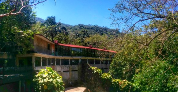 Zoo Day, Mismaloya