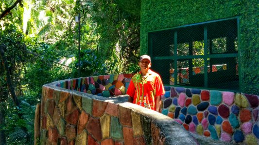 Zoo Day, Mismaloya