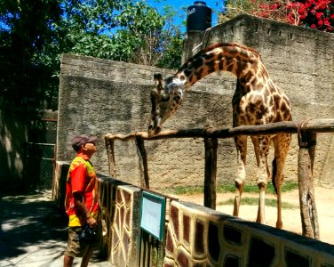 Zoo Day, Mismaloya
