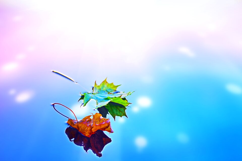 Seasonal water reflection