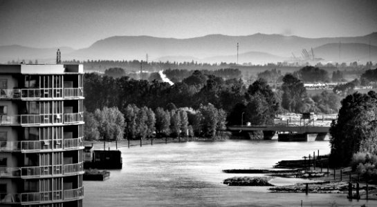 Looking Down the River