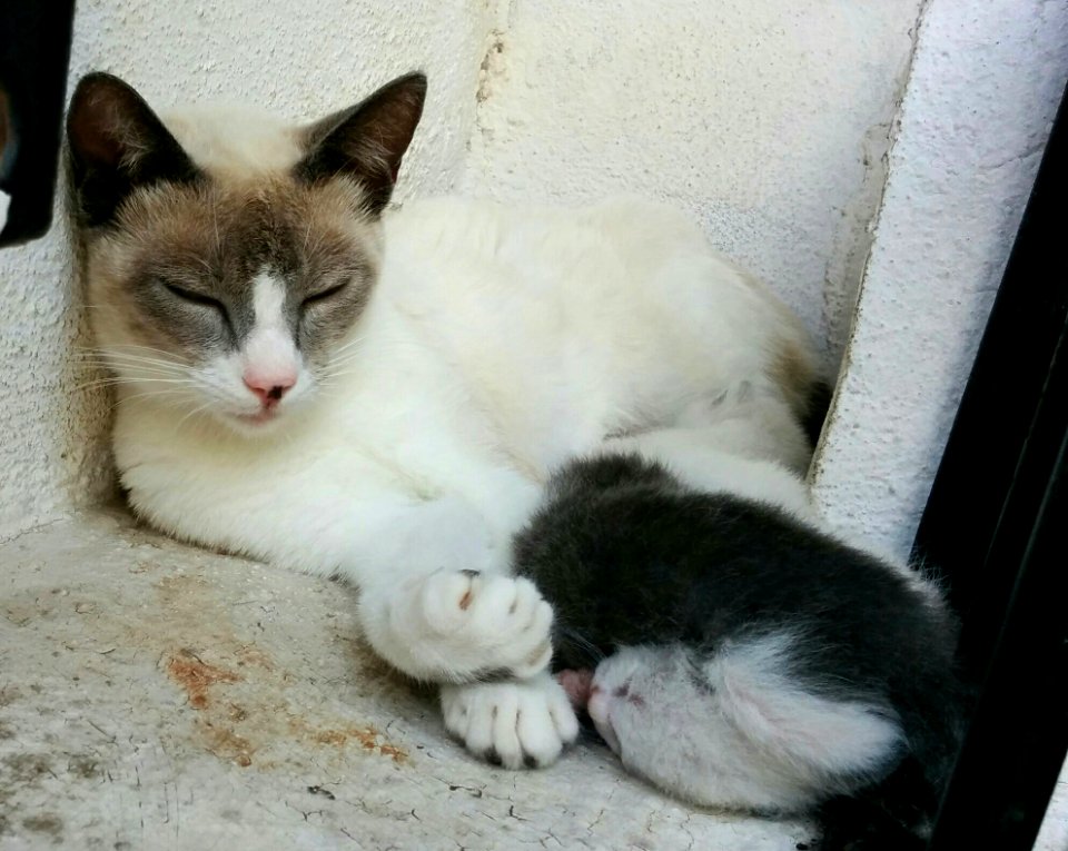 The Baby Had Her Own