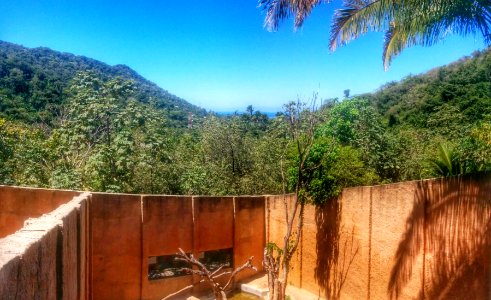 Zoo Day, Mismaloya