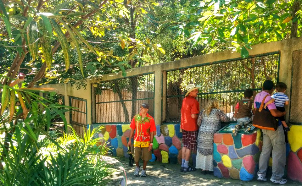 Zoo Day, Mismaloya
