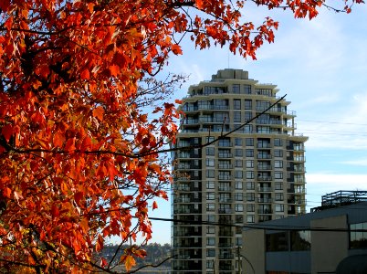 It Really is October! photo