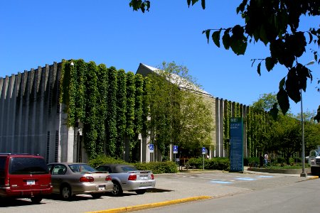 Ivy-Covered NE1