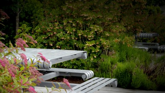 Hidden Picnic Places