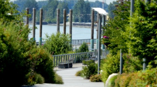 Pier Path