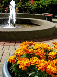 Strata Fountain 01/02
