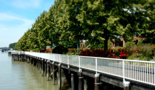 Quay Housing