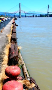 The Old Pier photo