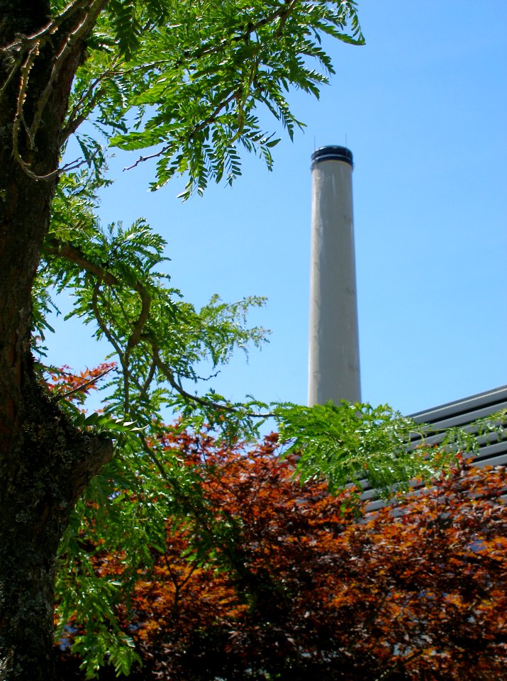 Chimney on BCIT Campus