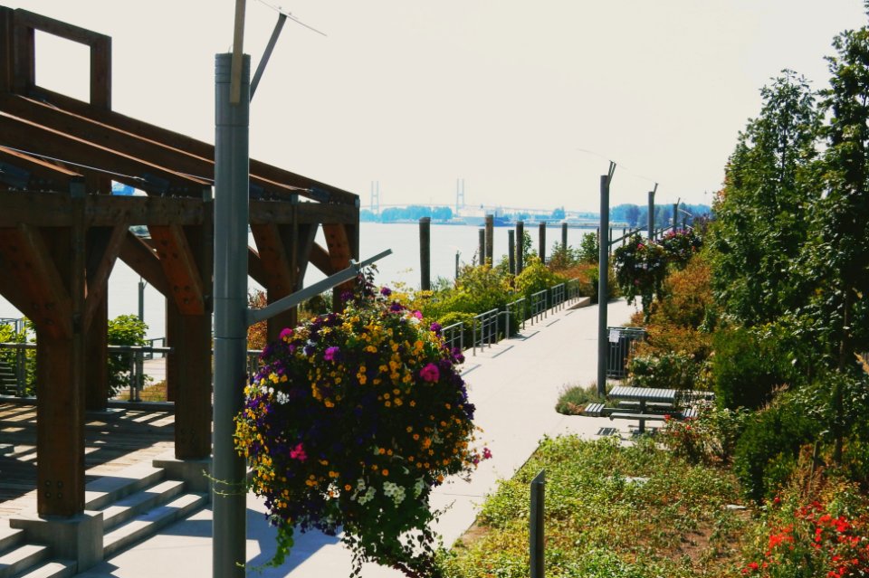Hazy Summer