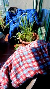 Washed Sleeping Bags Drying photo