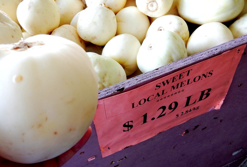 White Melons?