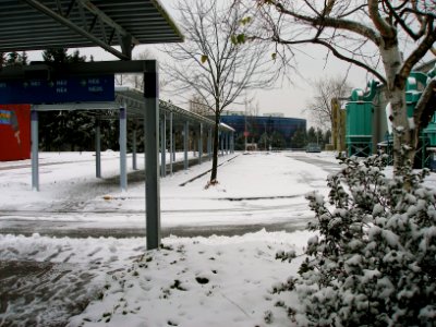 A Lot of Snow