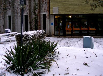2007_12_02